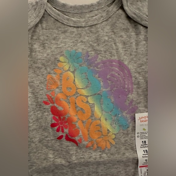 NWT Jumping Beans 18 Months Best Sister Ever Rainbow Gray Onesie - Picture 3 of 5